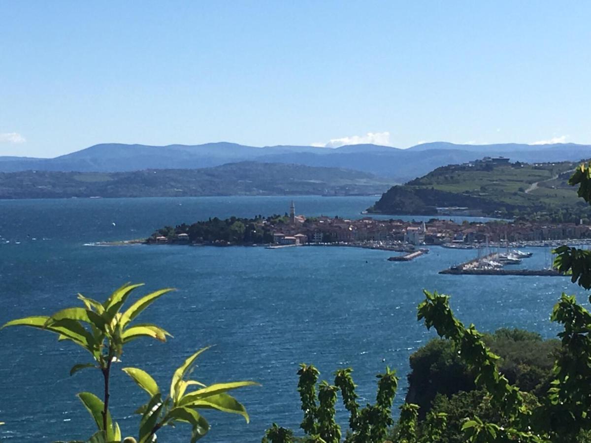 First Row To The Sea - Maremi Izola Apartment Terrace 外观 照片
